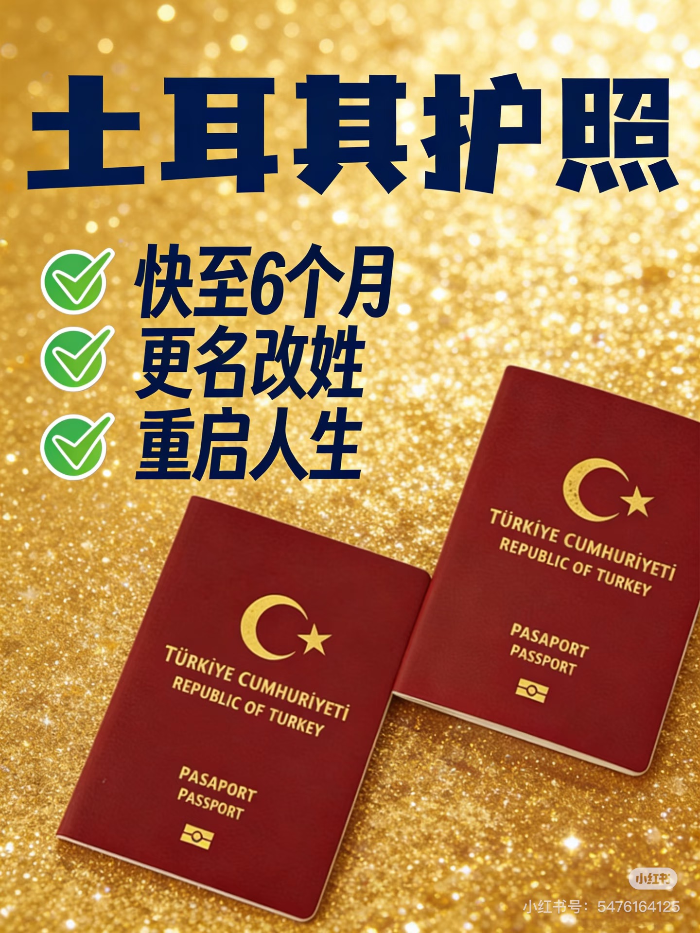 土耳其护照